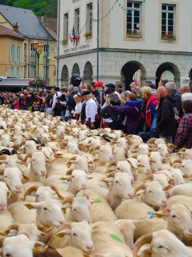 La transhumance c’est samedi à Seix ! Passages# des troupeaux, défilés, animations, marché de producteur et artisans, démonstrations… tout un programme à venir découvrir sur place toute la journée ! Et de notre côté on se retrousse les manches pour vous préparer un beau menu 🐑 #transhumance #estive #seix #escaleta #aubergescaleta #couserans #couseranspyrénées #pyreneesariegeoises #ariege #tradition #menuspecial @couseranspyrenees