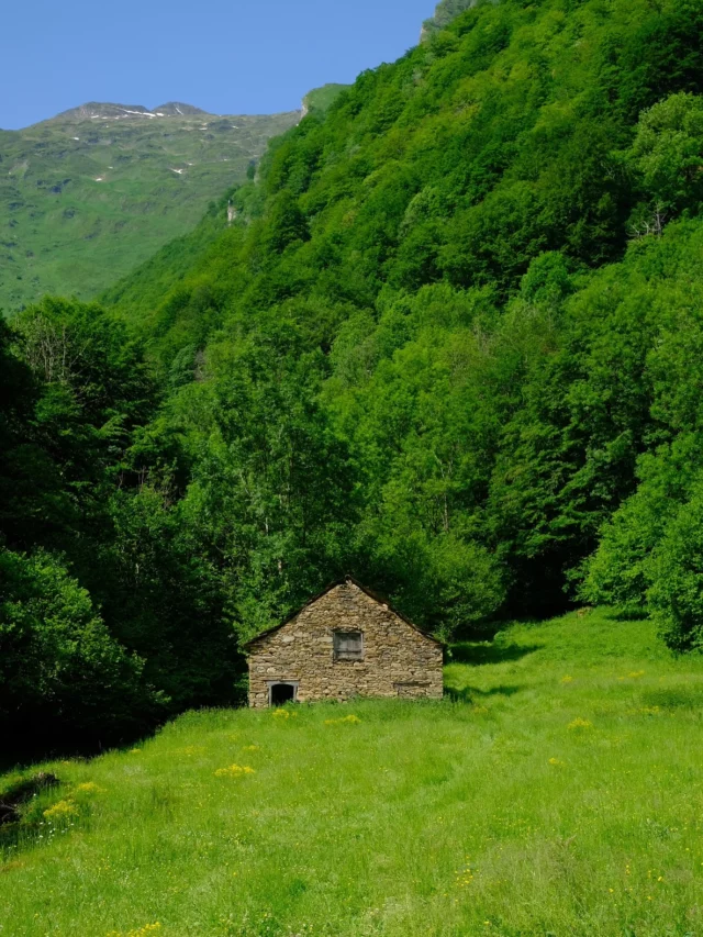 Pas besoin de retouche, les verts sont tous éclatants dès que le soleil est là ! Toujours en vadrouille sur les journées de pause pour découvrir chaque recoins de nos vallées. ⛰️ #escaleta #auberge #couserans #pyrenees #printemps #green #vert #primavera #montagne #randonnée #aventure #sauvage #outdoors #outdoor #pyrenneesariegeoises #hike